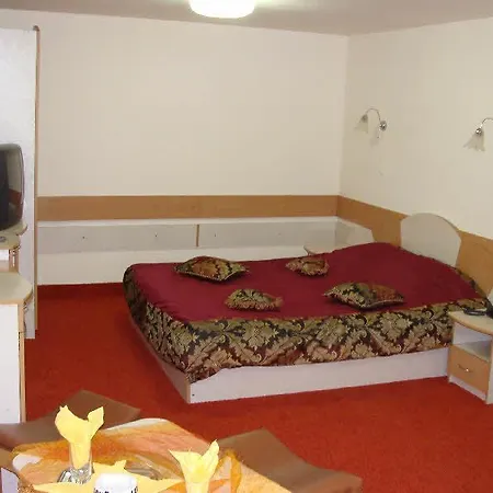 Motel Oana 3*